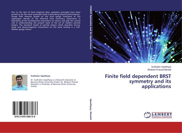Produktbild: Finite field dependent BRST symmetry and its applications
