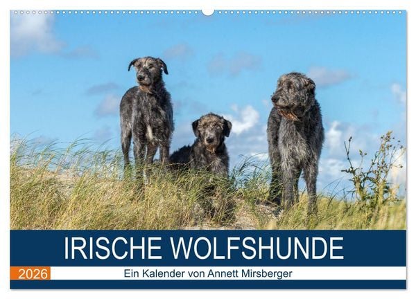 Produktbild: Irische Wolfshunde (Wandkalender 2026 DIN A2 quer), CALVENDO Monatskalender
