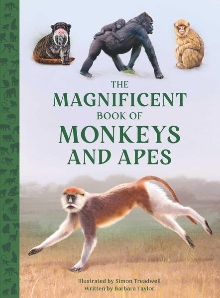 Produktbild: The Magnificent Book of Monkeys and Apes
