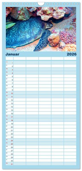 Produktbild: Familienplaner 2026 - Geheimnisvolle Welt unter Wasser - Nachts am Riff mit 5 Spalten (Wandkalender, 21 x 45 cm) CALVENDO
