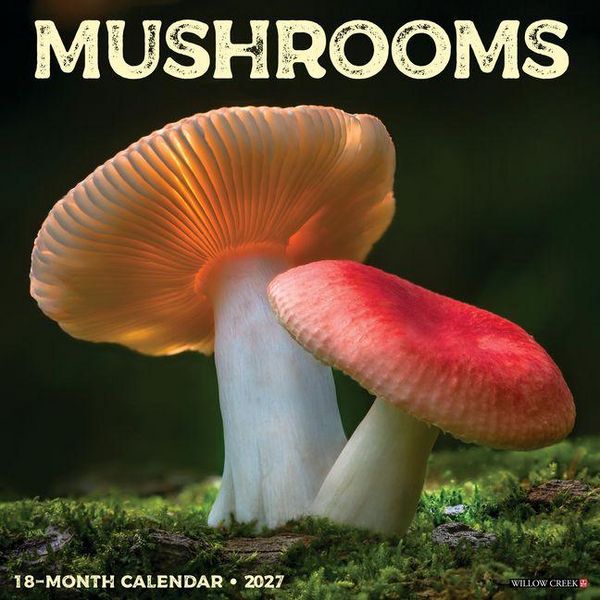 Produktbild: Mushrooms 2027 12 X 12 Wall Calendar
