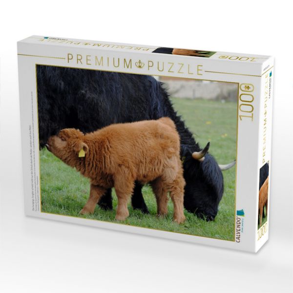 Produktbild: CALVENDO Puzzle Das hungrige Jungtier sch&auml;tzt nicht nur den Schutz durch die Mutter, sondern auch ihre Milch. | 1000 Teile Lege-Gr&ouml;&szlig;e 64x48cm Foto-Puz