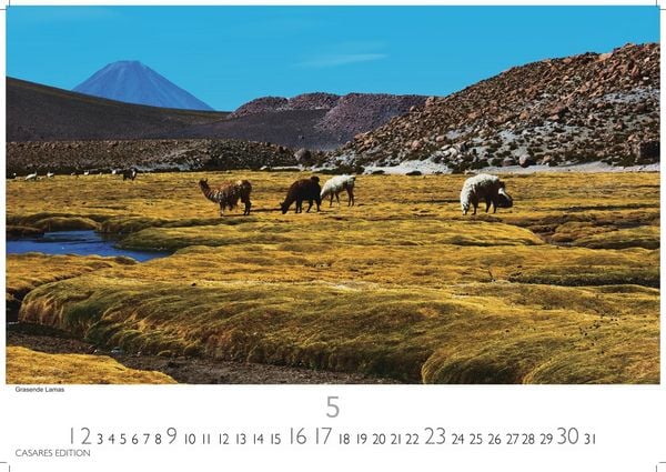 Produktbild: Chile Kalender 2027 &ndash; Wandkalender | Fotokalender S&uuml;damerika 35x50cm &ndash; Spektakul&auml;re Landschaften von Atacama bis Patagonien, perfekt als Geschenk & Wanddeko