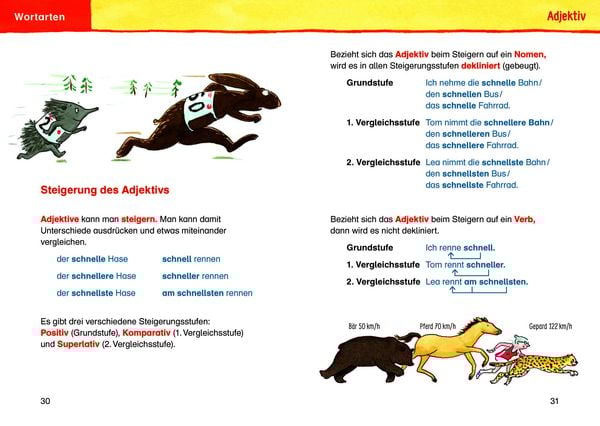 Produktbild: Duden - Die Grundschulgrammatik