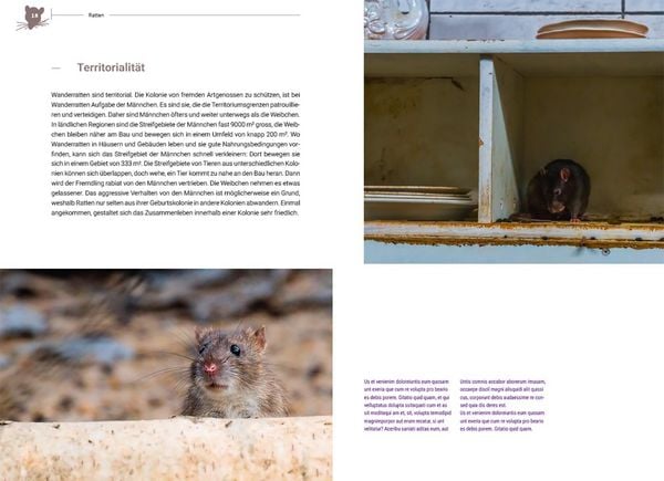 Produktbild: Ratten