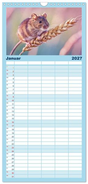 Produktbild: Familienplaner 2027 - Zwischen den Feldern mit 5 Spalten (Wandkalender, 21 x 45 cm) CALVENDO