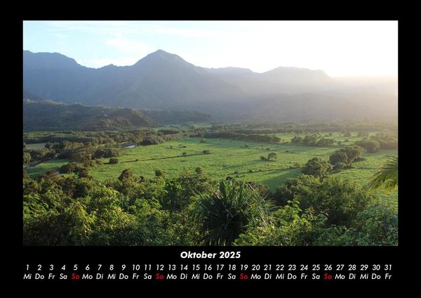 Produktbild: B&auml;ume 2025 Fotokalender DIN A3