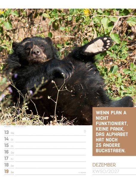Produktbild: Tierisch Spr&uuml;chekalender Wochenplaner 2027
