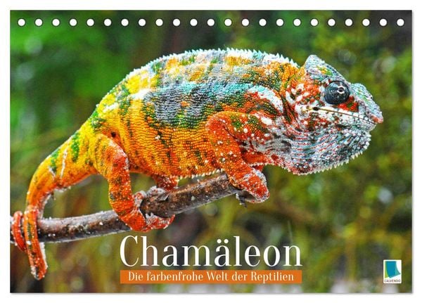 Produktbild: Cham&auml;leon: Die farbenfrohe Welt der Reptilien (Tischkalender 2026 DIN A5 quer), CALVENDO Monatskalender