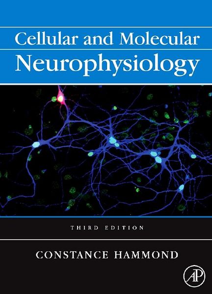 Produktbild: Cellular and Molecular Neurophysiology