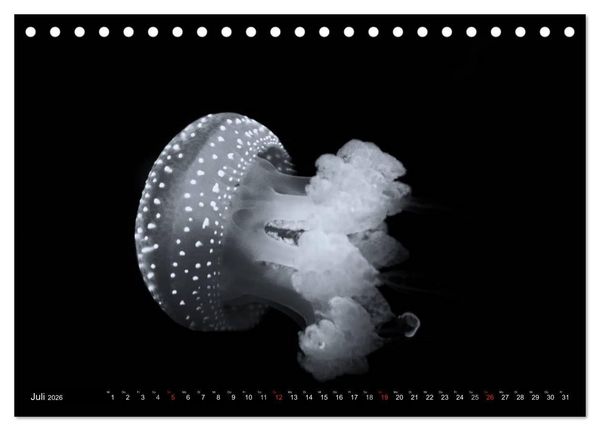 Produktbild: Meerestiere Bilder in Schwarz Weiss (Tischkalender 2026 DIN A5 quer), CALVENDO Monatskalender