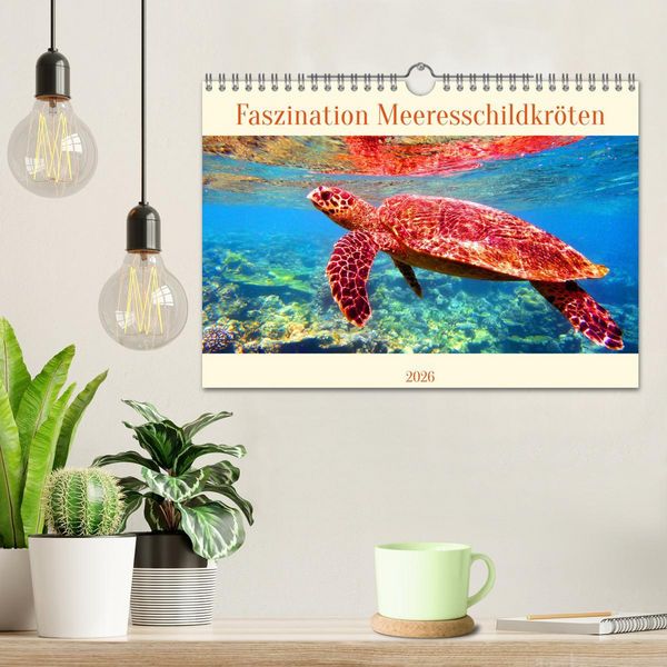 Produktbild: Faszination Meeresschildkr&ouml;ten (Wandkalender 2026 DIN A4 quer), CALVENDO Monatskalender