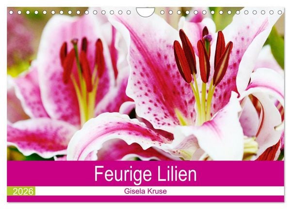 Feurige Lilien (Wandkalender 2026 DIN A4 quer), CALVENDO Monatskalender