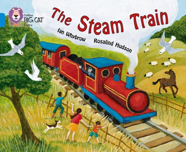 Produktbild: The Steam Train