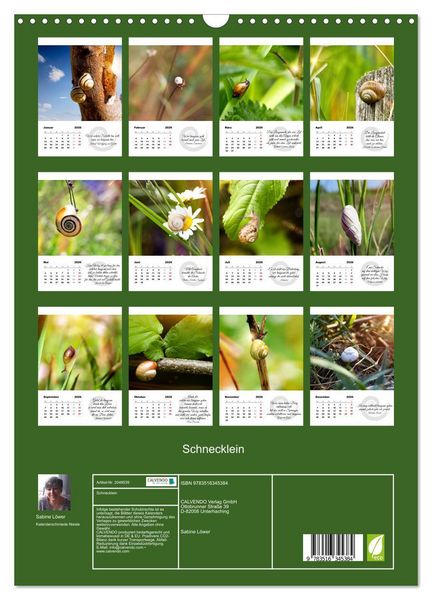Produktbild: Schnecklein (Wandkalender 2026 DIN A3 hoch), CALVENDO Monatskalender