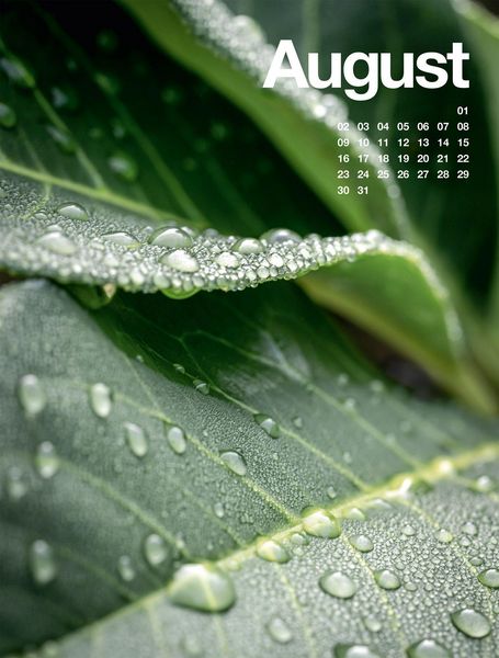 Produktbild: Fr&uuml;hling, Sommer, Herbst & Winter Kalender 2027