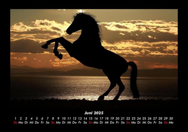 Produktbild: Die Welt der Pferde 2025 Fotokalender DIN A3