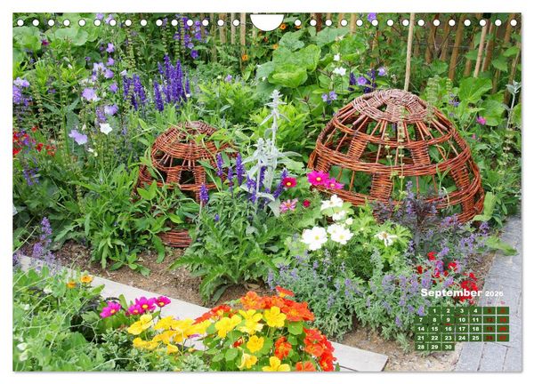 Produktbild: Urlaub im Garten (Wandkalender 2026 DIN A4 quer), CALVENDO Monatskalender