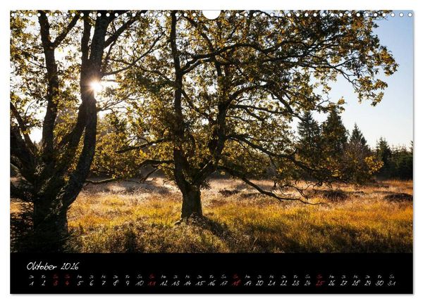 Produktbild: Hochmoor Hohes Venn (Wandkalender 2026 DIN A3 quer), CALVENDO Monatskalender