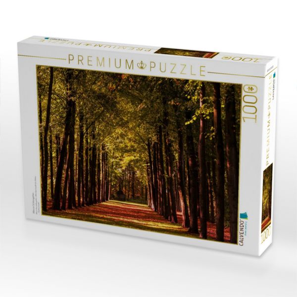 Produktbild: CALVENDO Puzzle Allee im Schlossgarten | 1000 Teile Lege-Gr&ouml;&szlig;e 64x48cm Foto-Puzzle f&uuml;r gl&uuml;ckliche Stunden