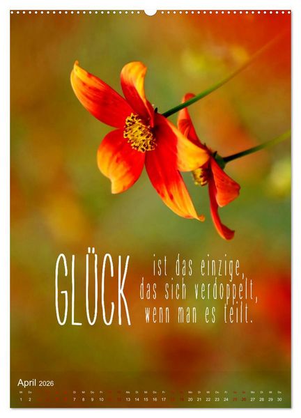 Produktbild: ICH W&Uuml;NSCHE DIR GL&Uuml;CK - 12 Monate mit inspirierenden Gl&uuml;ckszitaten (hochwertiger Premium Wandkalender 2026 DIN A2 hoch), Kunstdruck in Hochglanz