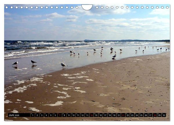 Produktbild: USEDOM - Seeb&auml;der und Naturparadies (Wandkalender 2026 DIN A4 quer), CALVENDO Monatskalender