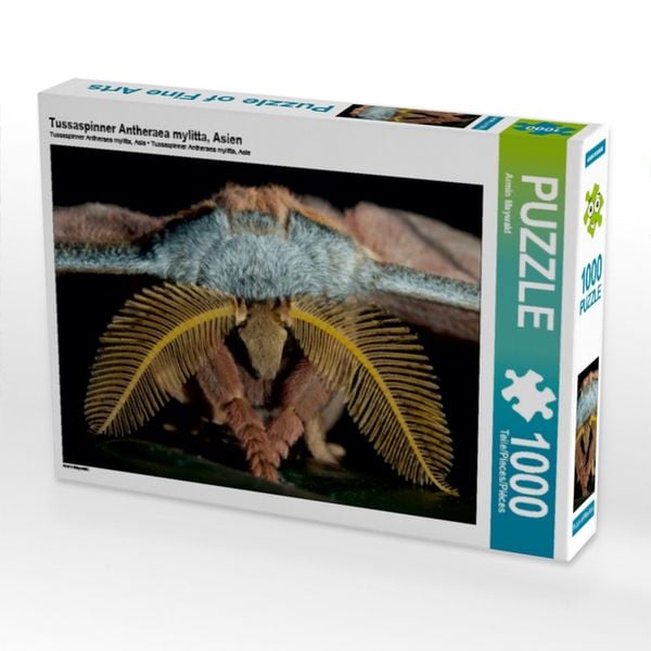 Produktbild: Tussaspinner Antheraea mylitta, Asien (Puzzle)