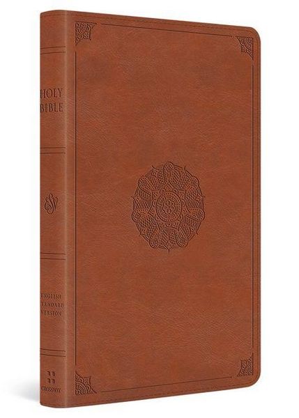 Produktbild: ESV Large Print Thinline Bible
