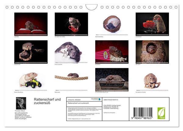 Produktbild: Rattenscharf und zuckers&uuml;&szlig; (Wandkalender 2026 DIN A4 quer), CALVENDO Monatskalender