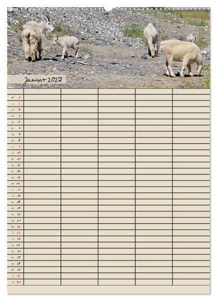 Produktbild: Tierischer Familienplaner (hochwertiger Premium Wandkalender 2027 DIN A2 hoch), Kunstdruck in Hochglanz