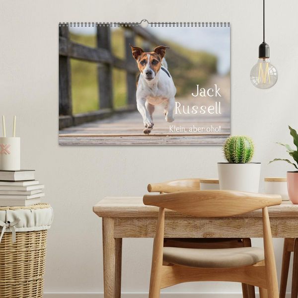 Produktbild: Jack Russell - Klein, aber oho! (Wandkalender 2026 DIN A3 quer), CALVENDO Monatskalender