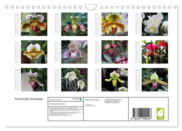 Produktbild: Prachtvolle Orchideen (Wandkalender 2026 DIN A4 quer), CALVENDO Monatskalender