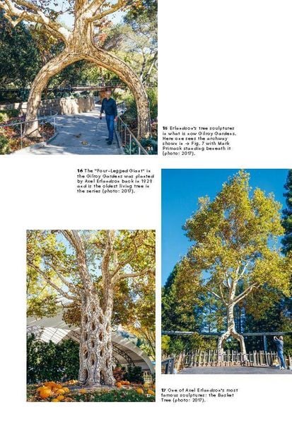 Produktbild: Growing Architecture
