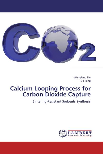 Produktbild: Calcium Looping Process for Carbon Dioxide Capture