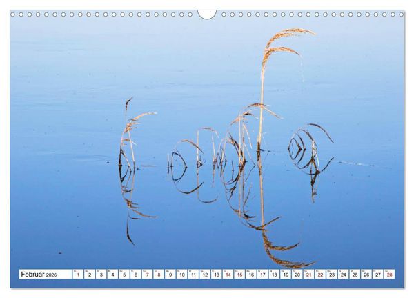 Produktbild: Cotentin &ndash; unser St&uuml;ck vom Paradies (Wandkalender 2026 DIN A3 quer), CALVENDO Monatskalender