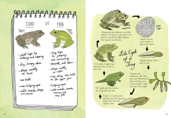 Produktbild: Nature Anatomy