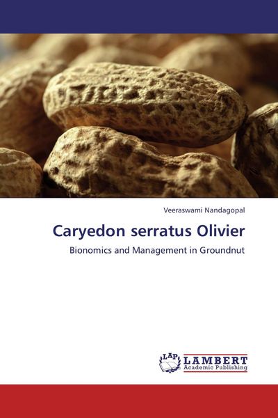 Produktbild: Caryedon serratus Olivier