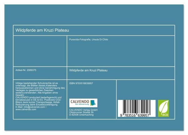 Produktbild: Wildpferde am Kruzi Plateau (Tischkalender 2026 DIN A5 quer), CALVENDO Monatskalender