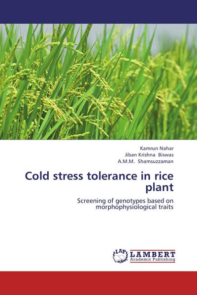 Produktbild: Cold stress tolerance in rice plant