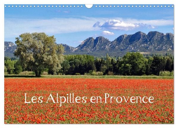 Produktbild: Les Alpilles en Provence (Calendrier mural 2026 DIN A3 vertical), CALVENDO calendrier mensuel