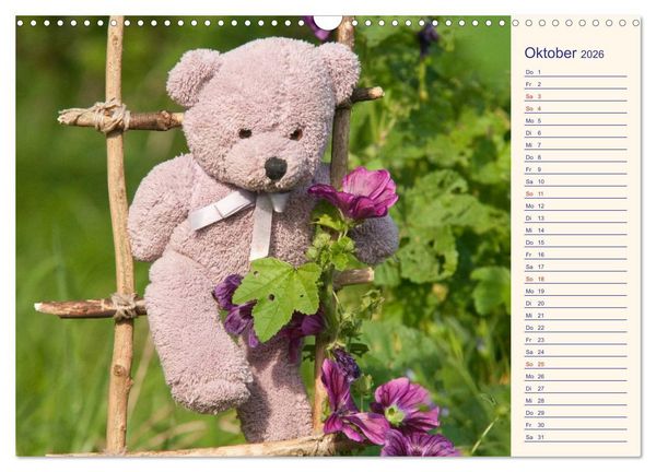 Produktbild: Geliebte B&auml;ren - Teddys (Wandkalender 2026 DIN A3 quer), CALVENDO Monatskalender