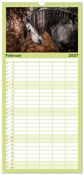 Produktbild: Familienplaner 2027 - Die Faszinierende Welt der Pferde mit 5 Spalten (Wandkalender, 21 x 45 cm) CALVENDO