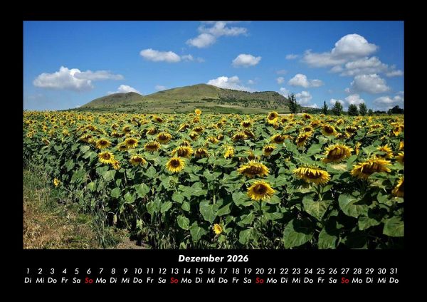 Produktbild: Blumenkalender 2026 Fotokalender DIN A3