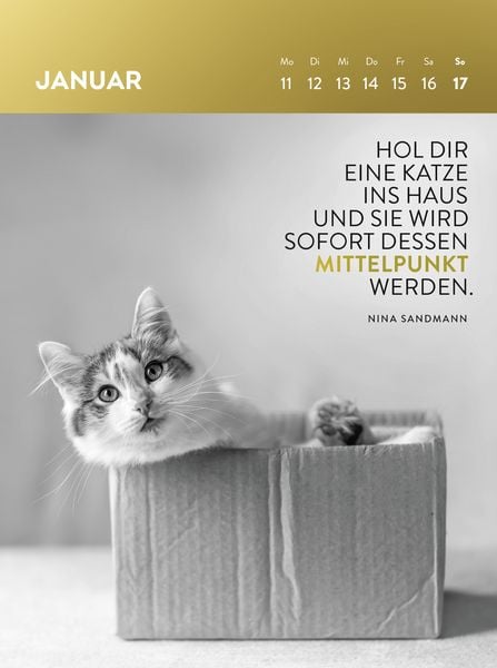 Produktbild: Wochenkalender 2027: Goldene Katzenweisheiten f&uuml;r jeden Tag