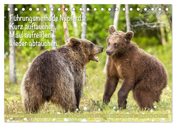 Produktbild: Spa&szlig; mit B&auml;ren: Edition lustige Tiere (Tischkalender 2026 DIN A5 quer), CALVENDO Monatskalender
