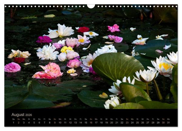 Produktbild: Gartenfl&uuml;stern (Wandkalender 2026 DIN A3 quer), CALVENDO Monatskalender