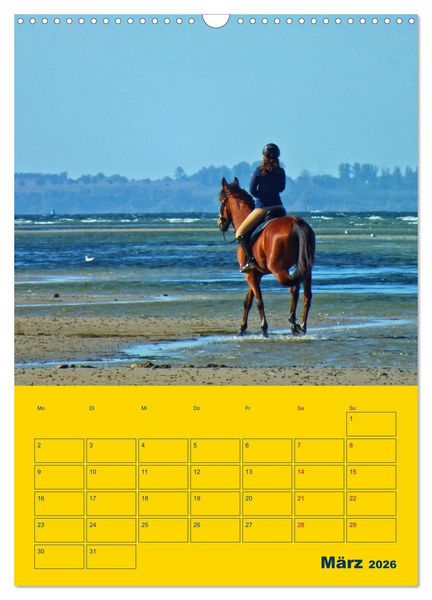 Produktbild: Sehnsuchtsort Ostseeinsel Poel (Wandkalender 2026 DIN A3 hoch), CALVENDO Monatskalender