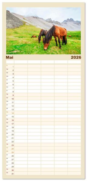 Produktbild: Familienplaner 2026 - Islandpferde - Die s&uuml;&szlig;en Pferde im Norden. mit 5 Spalten (Wandkalender, 21 x 45 cm) CALVENDO