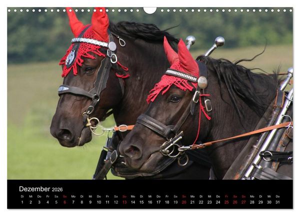 Produktbild: Starke Pferde bei der Arbeit (Wandkalender 2026 DIN A3 quer), CALVENDO Monatskalender