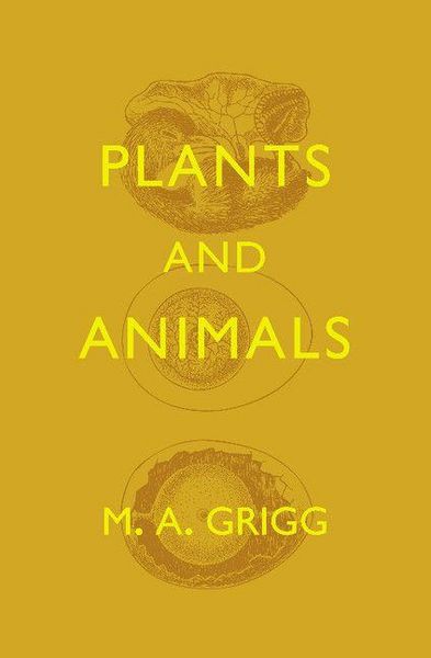 Produktbild: Plants and Animals